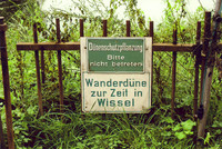 Wanderdüne Wanderdüne